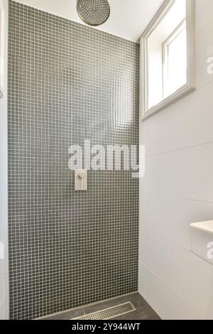 Salle de bains au design contemporain avec douche à l'italienne avec petits carreaux carrés et grande pomme de douche à effet pluie. Banque D'Images