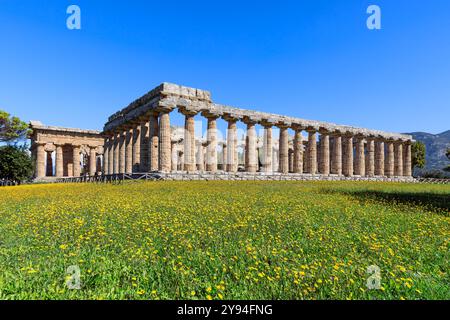 Vue de Paestum avec ses temples grecs en Italie : au premier plan le Temple d'Héra et au fond le Temple de Neptune. Banque D'Images