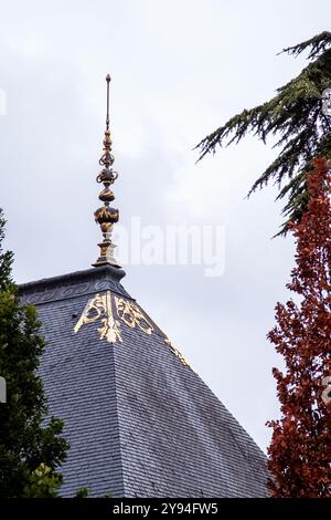 Détail du toit, Château de Azay-le-Rideau, Indre-et-Loire, France Banque D'Images