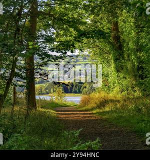 Chemin forestier à Blagdon Lake, Somerset, Royaume-Uni juste après le lever du soleil avec des arbres ensoleillés vert vif dans le soleil tôt le matin et le village de Blagdon dans le dist Banque D'Images