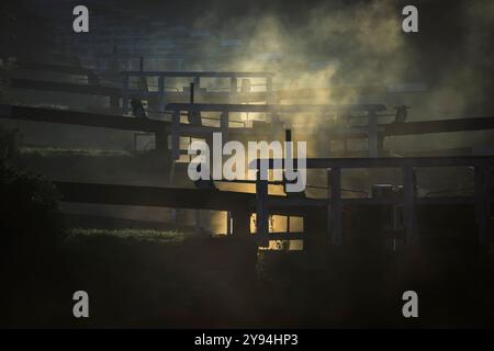 Gros plan sur les écluses de Caen Hill, Devize à l'aube avec une brume basse s'élevant et donnant un effet légèrement étrange ou effrayant. Prise à Devizes UK Banque D'Images