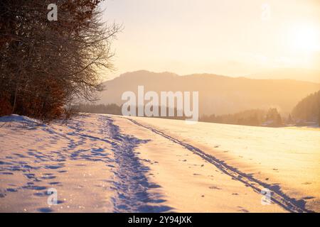 Le soleil se couche sur un paysage hivernal paisible, projetant une lueur chaude sur le sol enneigé. Les empreintes de pas sillonnent la neige immaculée, menant à une chaîne de montagnes lointaine baignée de lumière douce. Banque D'Images