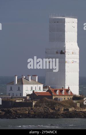 Whitley Bay, Angleterre, 6 octobre 2024. Le phare de l'île Sainte-Marie est recouvert d'échafaudages et de bâches pour permettre des rénovations. Crédit : Colin Edwards Banque D'Images