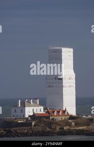 Whitley Bay, Angleterre, 6 octobre 2024. Le phare de l'île Sainte-Marie est recouvert d'échafaudages et de bâches pour permettre des rénovations. Crédit : Colin Edwards Banque D'Images