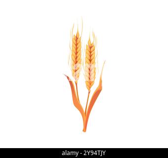 Épis de blé de bande dessinée, récolte de céréales d'automne. Plante naturelle vectorielle isolée, symbolisant la saison d'automne. Deux tiges dorées mûres pour la fabrication de la farine et la cuisson du pain, mettent l'accent sur les thèmes saisonniers et agricoles Illustration de Vecteur