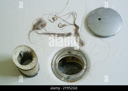 Cheveux et savon d'un drain de douche. Un mélange dégoûtant de cheveux et de savon provenant d'un trou de drainage de sortie de douche domestique. Déboucher les cheveux d'un drain bouché. Banque D'Images