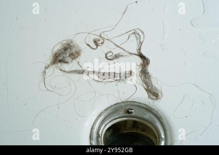 Cheveux et savon d'un drain de douche. Un mélange dégoûtant de cheveux et de savon provenant d'un trou de drainage de sortie de douche domestique. Déboucher les cheveux d'un drain bouché. Banque D'Images