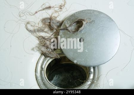 Cheveux et savon d'un drain de douche. Un mélange dégoûtant de cheveux et de savon provenant d'un trou de drainage de sortie de douche domestique. Déboucher les cheveux d'un drain bouché. Banque D'Images