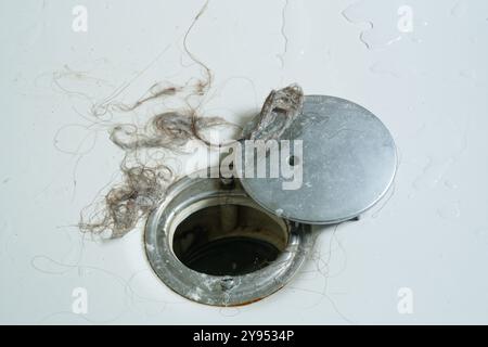 Cheveux et savon d'un drain de douche. Un mélange dégoûtant de cheveux et de savon provenant d'un trou de drainage de sortie de douche domestique. Déboucher les cheveux d'un drain bouché. Banque D'Images