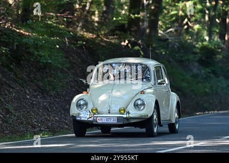 Altenkirchen Themenfoto : Automobil, Oldtimer, Veteranen, Klassiker, Raritaeten, Deutschland, Rhénanie-Palatinat, Altenkirchen, MSc Altenkirchen, 44. ADAC Raiffeisen-Veteranenfahrt, Volkswagen KAEFER Automatic BJ 05.10.2024. 1971 Themenfoto : Automobil, Oldtimer, Veteranen, Klassiker, Raritaeten, Deutschland, Rhénanie-Palatinat, Altenkirchen, MSc Altenkirchen, 44. ADAC Raiffeisen-Veteranenfahrt, 05.10.2024 *** Altenkirchen thème photo Automobil, Oldtimer, Veteranen, Klassiker, Raritaeten, Deutschland, Rheinland Pfalz, Altenkirchen, MSc Altenkirchen, 44 ADAC Raiffeisen Veteranenfahrt, 05 10 2024 Volksw Banque D'Images