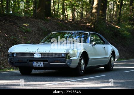 Altenkirchen Themenfoto : Automobil, Oldtimer, Veteranen, Klassiker, Raritaeten, Deutschland, Rhénanie-Palatinat, Altenkirchen, MSc Altenkirchen, 44. ADAC Raiffeisen-Veteranenfahrt, 05.10.2024 Oldmobil Toronado BJ. 1967 Themenfoto : Automobil, Oldtimer, Veteranen, Klassiker, Raritaeten, Deutschland, Rhénanie-Palatinat, Altenkirchen, MSc Altenkirchen, 44. ADAC Raiffeisen-Veteranenfahrt, 05.10.2024 *** Altenkirchen thème photo automobile, voitures anciennes, anciens combattants, classiques, raretés, Allemagne, Rhénanie-Palatinat, Altenkirchen, MSc Altenkirchen, 44 ADAC Raiffeisen Veteranenfahrt, 05 10 2024 Oldmobil Toron Banque D'Images