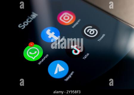 8 octobre 2024, Brésil. Dans cette illustration photo, le logo des applications Facebook, Instagram, WhatsApp, TikTok et threads est affiché sur un scre de smartphone Banque D'Images