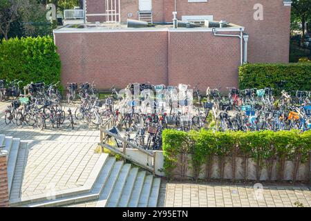 Grand nombre de vélos sur la place d'un lycée à la Haye, pays-Bas Banque D'Images