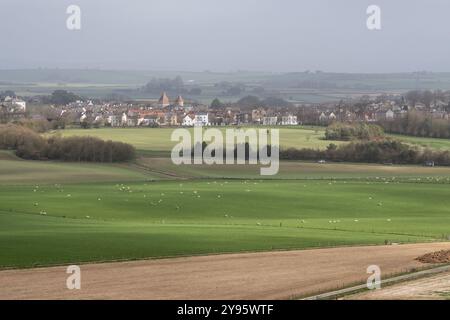 Les moutons se broutent dans les champs au-dessous du château de Maiden à Dorset, avec la nouvelle ville de Poundbury derrière. Banque D'Images