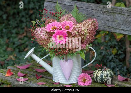 bouquet de zinnias roses, de fleurs d'hortensia paniculata et de hanches roses dans un arrosoir décoratif sur un banc de jardin Banque D'Images