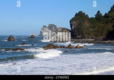 Surfez sur une belle plage de sable le long du rivage rocheux de la côte Pacifique de l'Oregon près de la petite ville de Brookings, Oregon. Banque D'Images