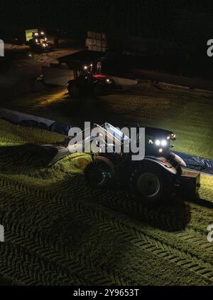 Tracteur avec chargeur frontal travaillant la nuit sur un champ rural, récolte de maïs, Dachtel, Forêt Noire, Allemagne, Europe Banque D'Images