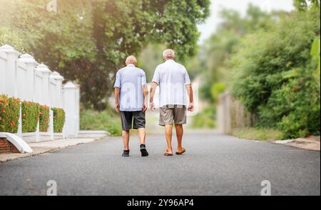 Deux amis seniors marchant le long de la route dans le lointain ensemble. Vue de l'arrière Banque D'Images