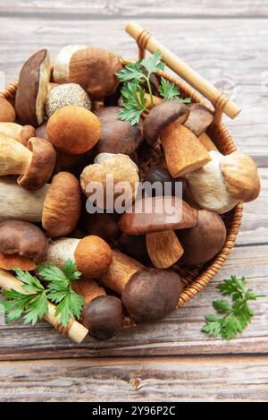 Un éventail de divers champignons frais, y compris différentes formes et couleurs, est exposé aux côtés de brins d'herbes fraîches dans un panier tissé sur un rustique Banque D'Images