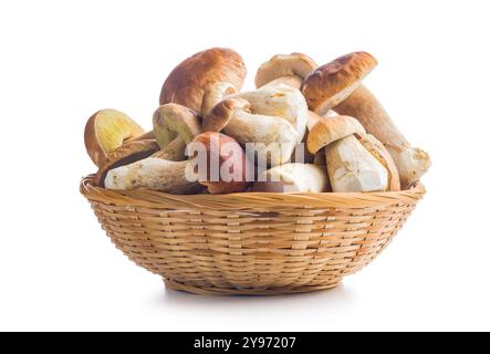 Champignons boletus frais dans le panier isolé sur un fond blanc. Banque D'Images