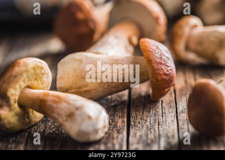 Champignons boletus frais sur une table en bois. Banque D'Images