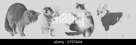 Ensemble chat et chien de collage punk rétro. Effet de pointillés demi-teintes Illustration de Vecteur