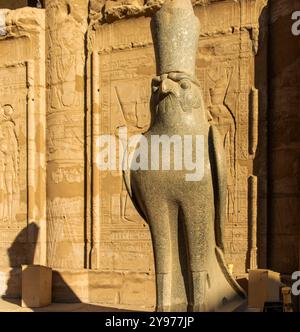 Admirez la majestueuse statue d'Horus, le Dieu du ciel, ornée de la couronne d'Égypte, tandis qu'il supervise son domaine depuis le temple d'Edfou dans le pays. Banque D'Images