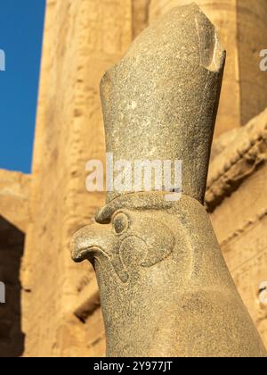 Une rencontre divine avec le Dieu faucon Horus, dont la couronne témoigne de son statut de divinité puissante en Égypte, protégeant et gardant son temple Banque D'Images