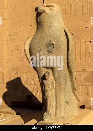 Les détails complexes de la statue d'Horus, un chef-d'œuvre intemporel sculpté dans les murs de l'ancien temple d'Edfou en forme de faucon. Banque D'Images