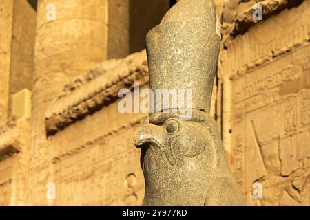 La statue d'Horus, ornée de la couronne d'Egypte, alors qu'il veille sur le temple d'Horus depuis son perchoir sacré à Edfou, une ville dans le pays. Banque D'Images