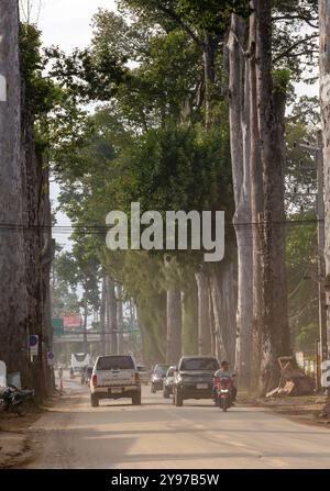 Les voitures roulent sur une route couverte de poussière provenant de l'eau qui recule après que les inondations se sont apaisées. Les habitants de Chiang mai commencent à reprendre leur vie normale après que la situation des inondations a diminué. Cependant, ils font encore face à des difficultés dans la vie quotidienne, en particulier lorsqu'ils voyagent sur des routes couvertes de boue et de poussière laissées derrière eux par les eaux qui reculent, ce qui rend les déplacements inconfortables. De plus, les ordures sont dispersées dans toute la ville car les résidents jettent des objets endommagés par les inondations, qui peuvent être vus partout. (Photo de Pongmanat Tasiri/SOPA images/Sipa USA) Banque D'Images