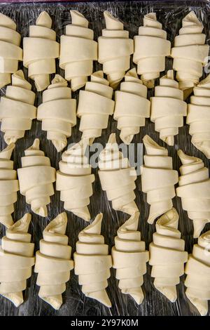 Croissants crus disposés sur une plaque de cuisson, prêts pour le four. Un aperçu de la pâtisserie professionnelle. Banque D'Images