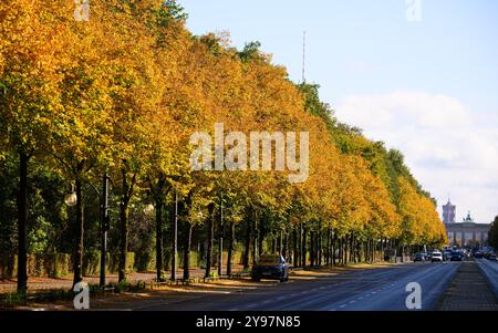 Berlin, Allemagne. 09 octobre 2024. Les feuilles sur les arbres le long de la Straße des 17. Juni entre la colonne de la victoire et la porte de Brandebourg brille dans le soleil d'automne. Crédit : Bernd von Jutrczenka/dpa/Alamy Live News Banque D'Images