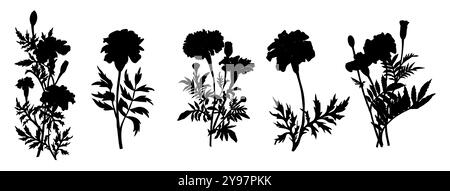 Ensemble de silhouettes noires de fleurs de souci Illustration de Vecteur