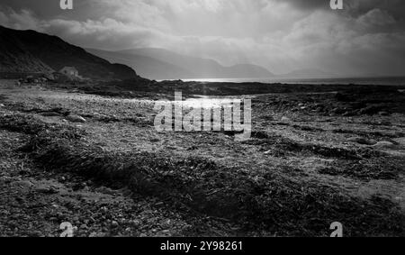 Vue depuis la baie de Niarbyl dans l'île de Man vers le veau de Man, prise sur film 5x4 Banque D'Images