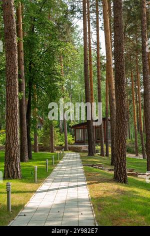 Le chemin pavé serpente à travers une forêt verdoyante, bordée de grands pins. Une cabine en bois au loin dispose d'une grande fenêtre en verre, offe Banque D'Images