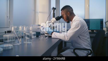 Les tests génétiques sont effectués en laboratoire médical. Un microbiologiste afro-américain analyse des échantillons au microscope. Scientifique féminine en manteau blanc apporte des tubes à essai avec des échantillons. Laboratoire médical. Banque D'Images