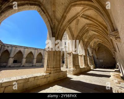 Cloître, Cathédrale Saint Nazaire, Béziers, Occitanie, France. Banque D'Images