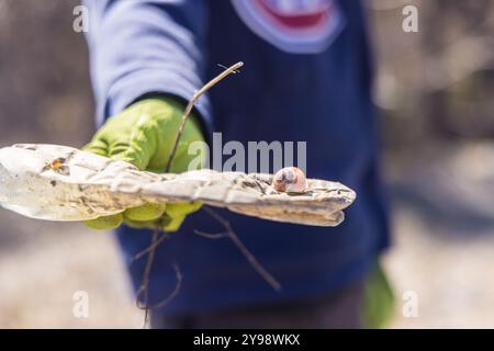 Le bénévole portant des gants tient un morceau de poubelle en plastique avec un escargot dessus, mettant l'accent sur la pollution de l'environnement. Mise au point sélective Banque D'Images