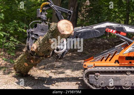 La mini-chargeuse compacte déplace un gros tronc d'arbre dans une forêt, démontrant ainsi sa puissance et sa polyvalence pour les travaux forestiers. Mise au point sélective Banque D'Images