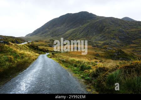 Le paysage accidenté de Molls Gap, comté de Kerry, Irlande - John Gollop Banque D'Images