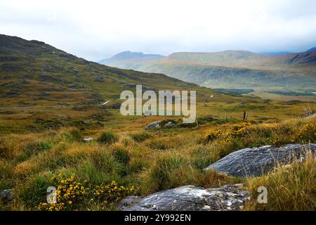 Le paysage accidenté de Molls Gap, comté de Kerry, Irlande - John Gollop Banque D'Images