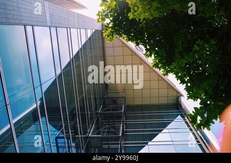 Un bâtiment encadré par des arbres, capturé sous un angle bas au Japon : cette perspective met en valeur les détails architecturaux contre une verrière luxuriante Banque D'Images