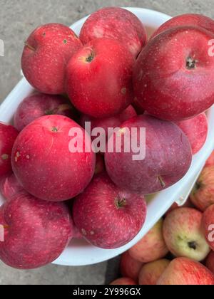 Pommes mûres rouges vives dans un panier. Gros plan. Prise de vue d'en haut. Banque D'Images