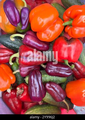 Légumes mélangés. Poivrons et concombres colorés et de différentes tailles. Gros plan. Banque D'Images
