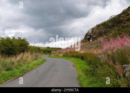 Un ciel orageux se profile au-dessus d'une route étroite qui traverse les collines de Bathgate. Une végétation abondante sur le bord de la route pousse le long du bord de la route. Banque D'Images