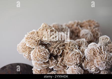 Gros plan d'un cristal rose désert sur fond gris avec espace négatif Banque D'Images