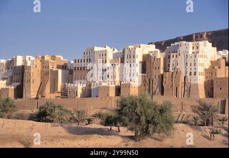 Shibam est une ville du Yémen, dans le gouvernorat de Hadhramaut. Connu pour ses gratte-ciel en briques de boue, il est appelé le Manhattan de la de Banque D'Images