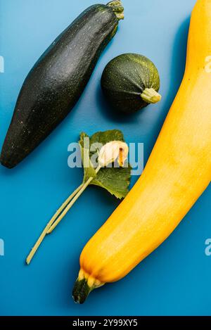 Courgettes jaunes et vertes, courgettes vertes rondes sur fond de bois. . Légume du jardin. Banque D'Images