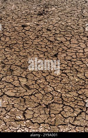 Dry Laguna de Los Milagros à Tingo Maria, Huánuco, Pérou, Amazonie péruvienne. Banque D'Images